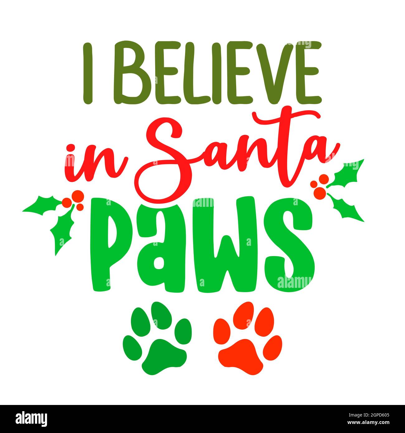 I Believe In Santa Paws Shiba Inu Gift T-Shirt I Believe In Santa Paws Shiba Inu Gift T-Shirt