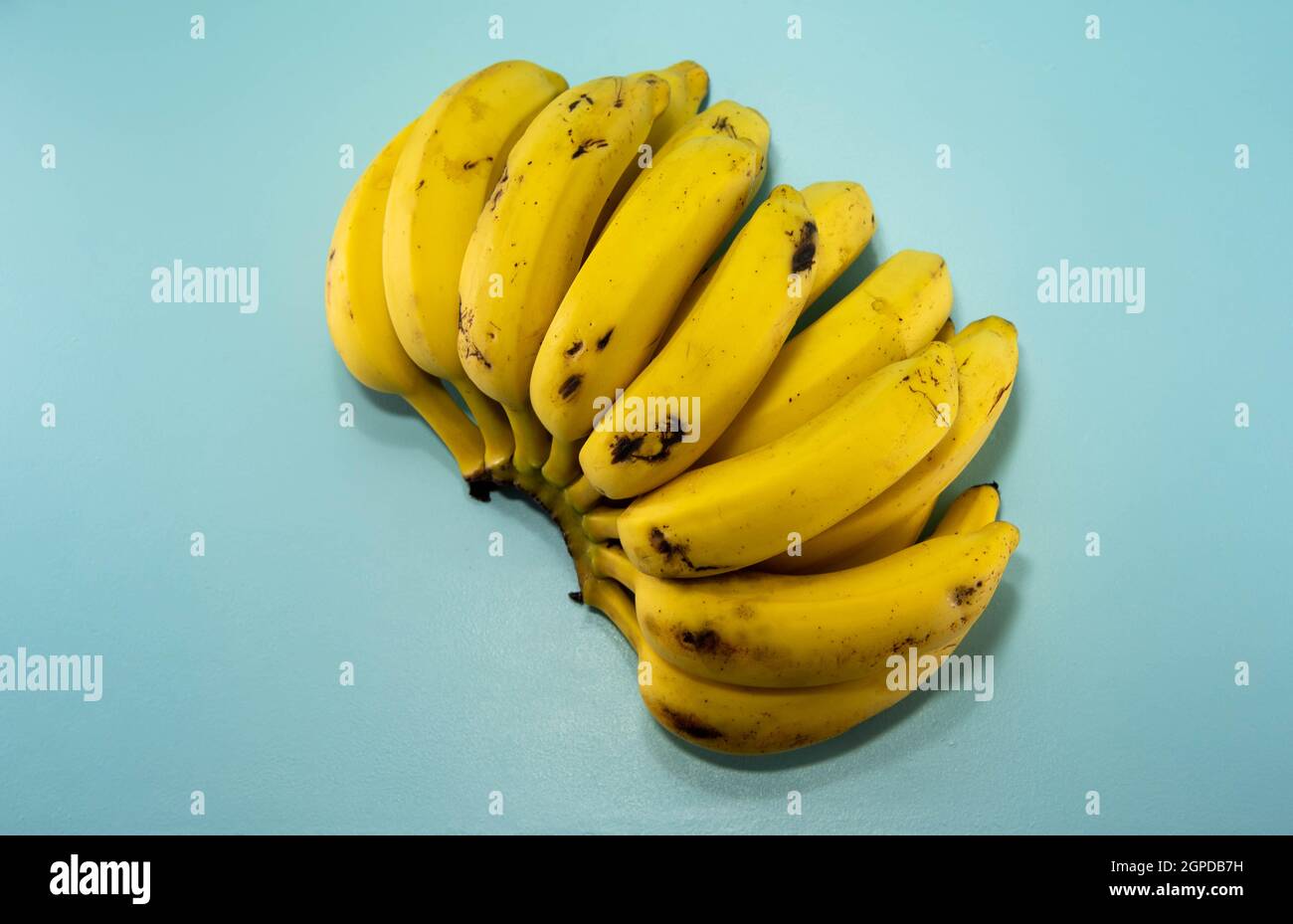 Bunch of ripe bananas ready for consumption on blue background. Food