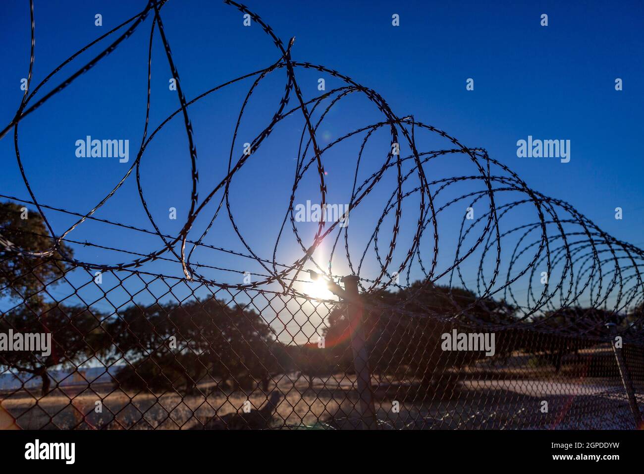 Fence with a barbed wire under a blue sky Stock Photo - Alamy