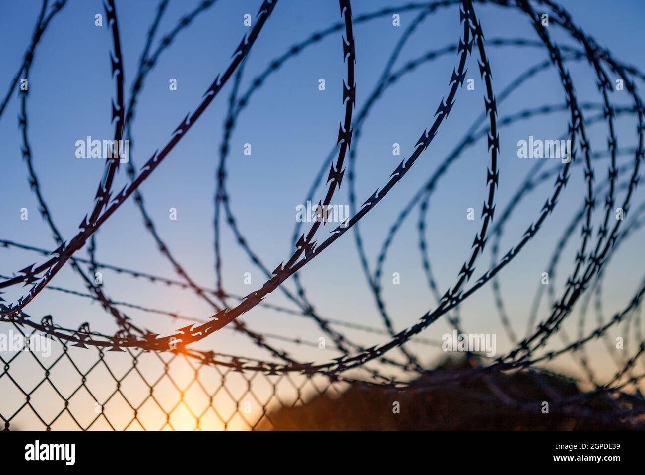 Fence with a barbed wire under a blue sky Stock Photo - Alamy