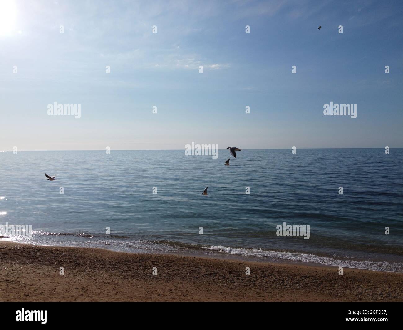 Beautiful remote beach with crystal clear azure water, aerial view. Untouched nature and hidden sandy beach with seagulls. Motion blur on small waves Stock Photo