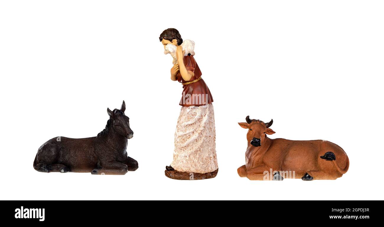 A sheeper offering his sheep in the manger with the ox and the mule, isolated on white background Stock Photo