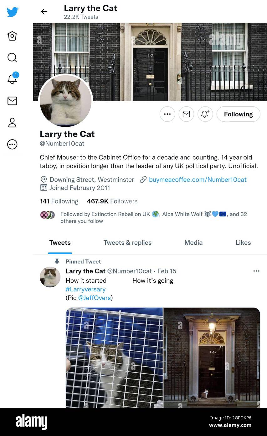 Twitter page (Sept 2021) of Larry the Downing Street Cat, Chief Mouser to the Cabinet Office since being headhunted from Battersea Dogs and Cats Home Stock Photo
