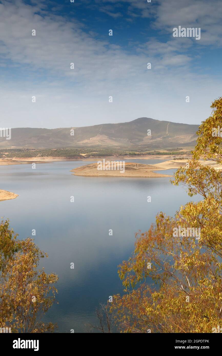Beautiful scenery of the banks of a river with oak trees reflected in ...