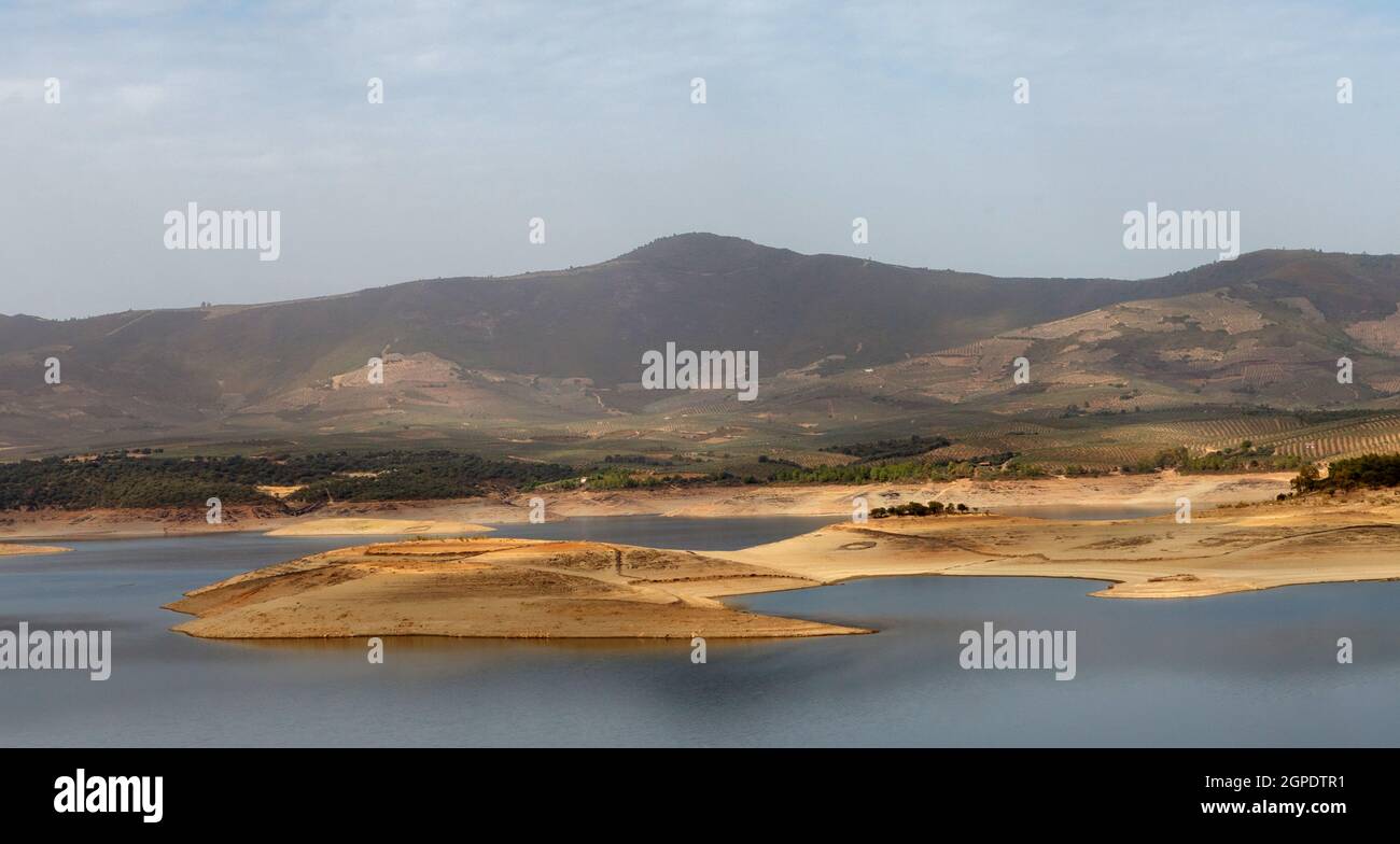 Beautiful scenery of the banks of a river with oak trees reflected in ...