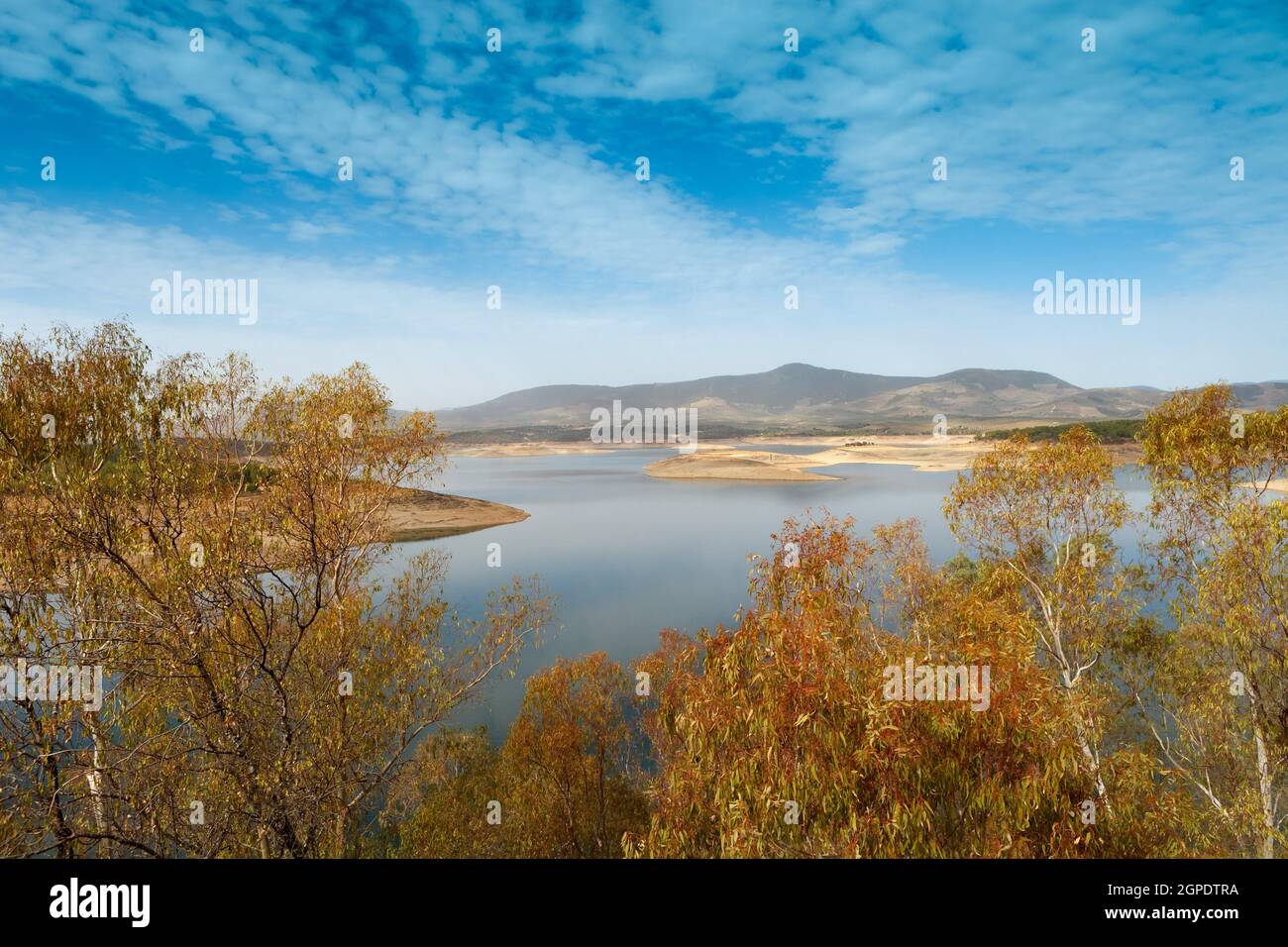 Beautiful scenery of the banks of a river with oak trees reflected in ...