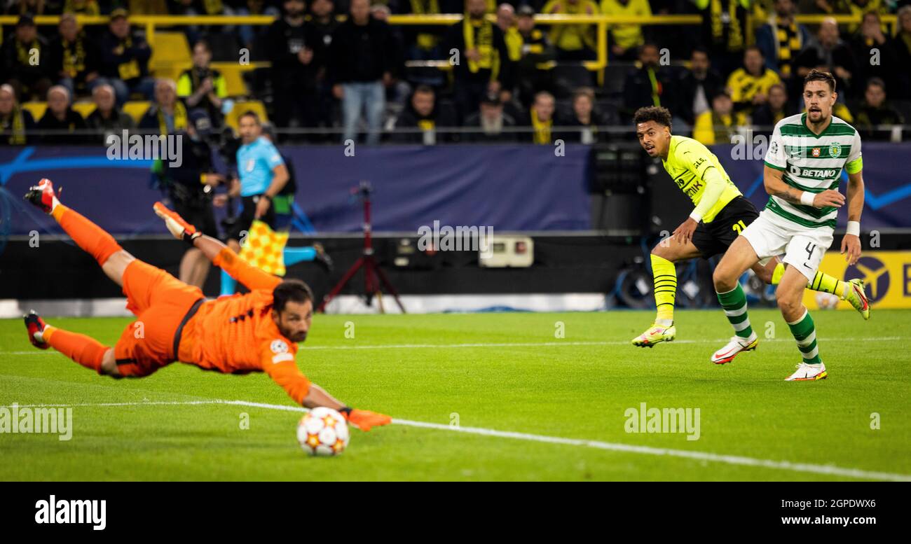 Tor zum 1:0 durch Donyell Malen (BVB) gegen Sebastian Coates und Torwart Antonio Adan (LIS) Borussia Dortmund - Sporting Club Lissabon  28.09.2021, Fu Stock Photo