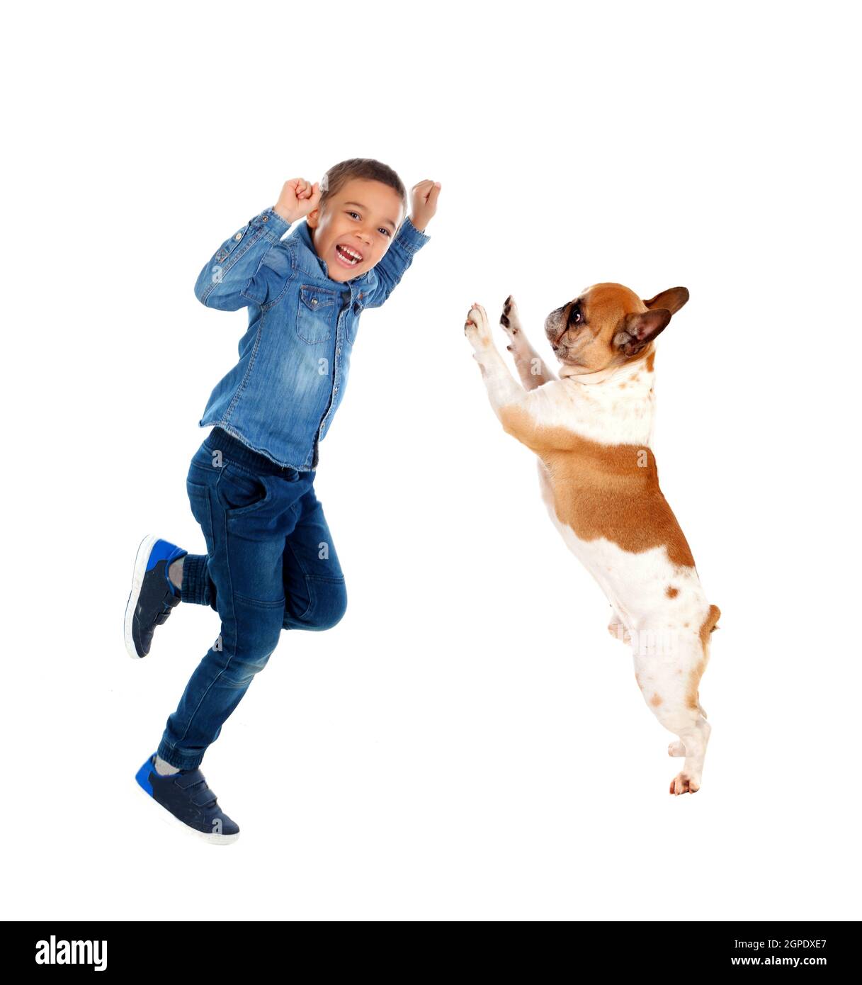 What happens if a dog jumps on a child