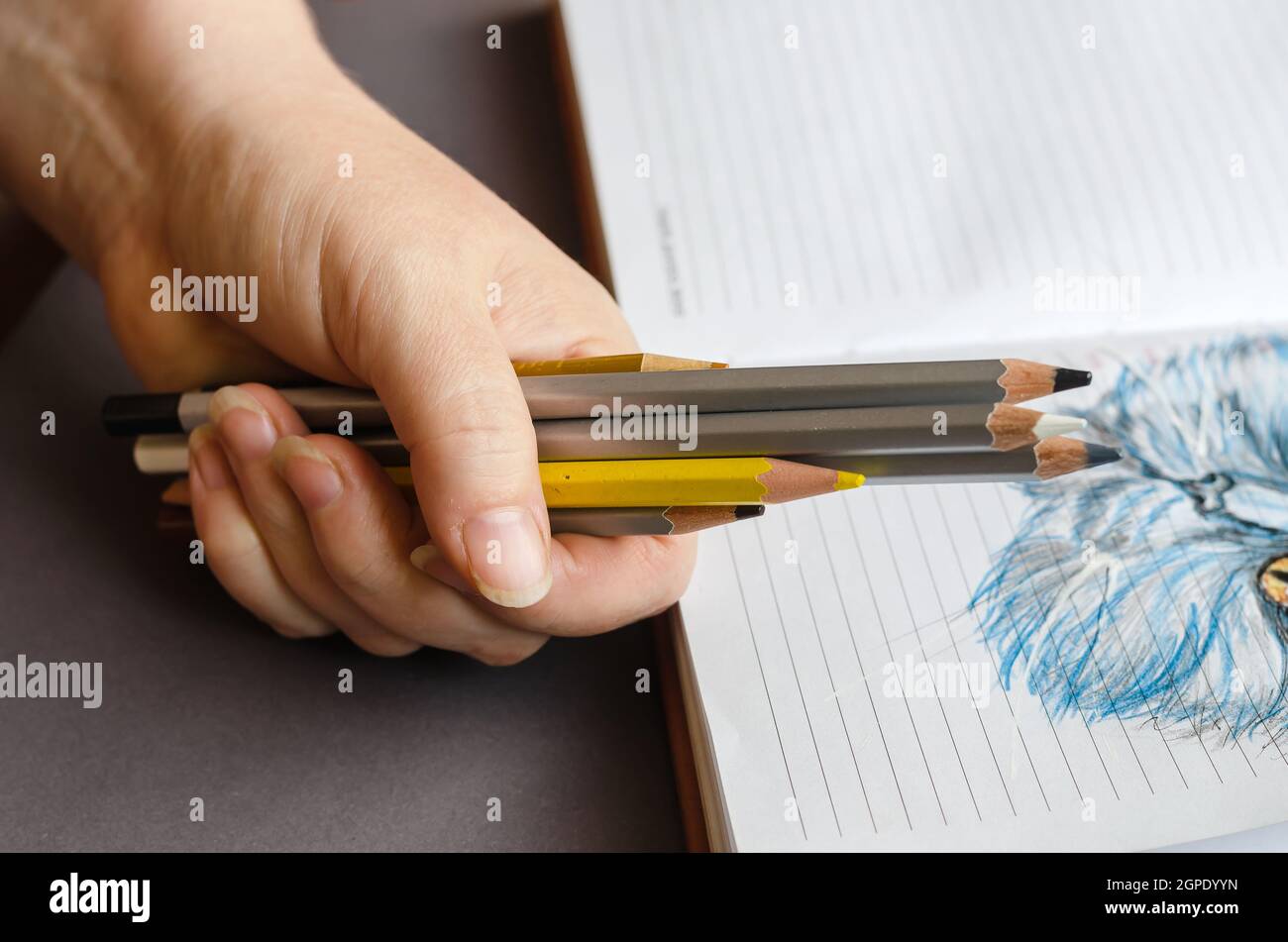 Woman drawing colored pencils open hi-res stock photography and images ...