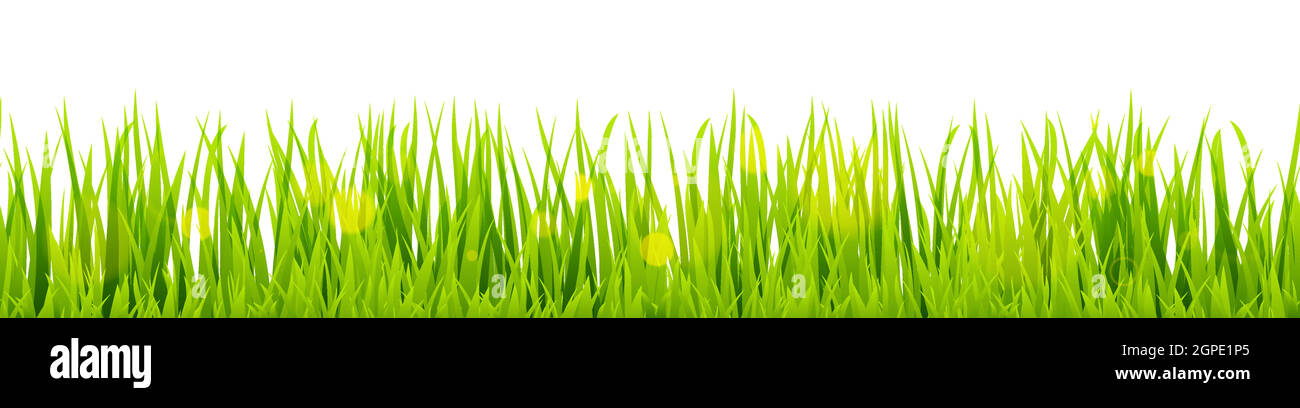 seamless floral grass panorama background Stock Vector