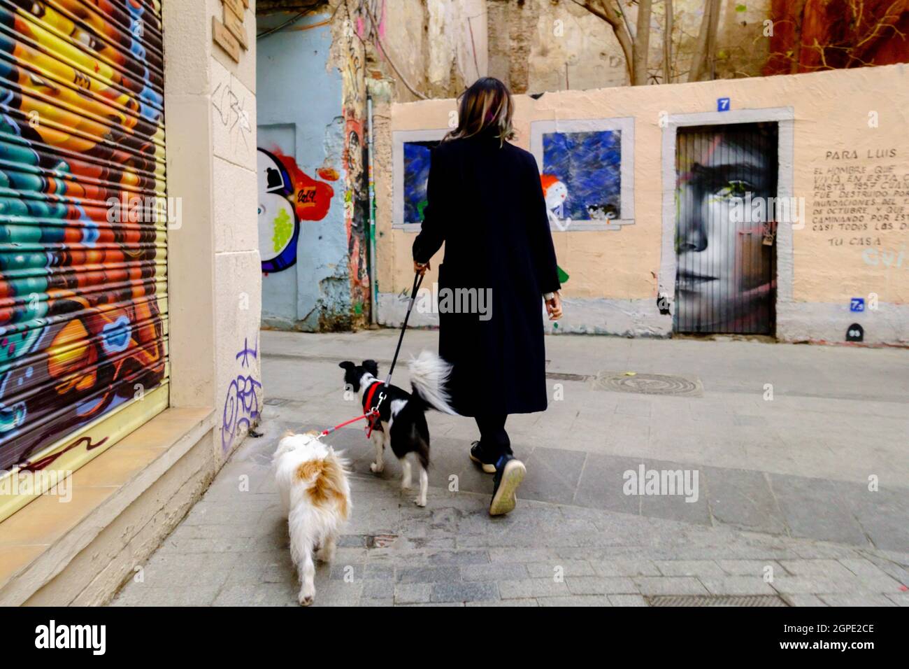Woman walking with two dogs Spain Valencia street art in El Carmen district Stock Photo