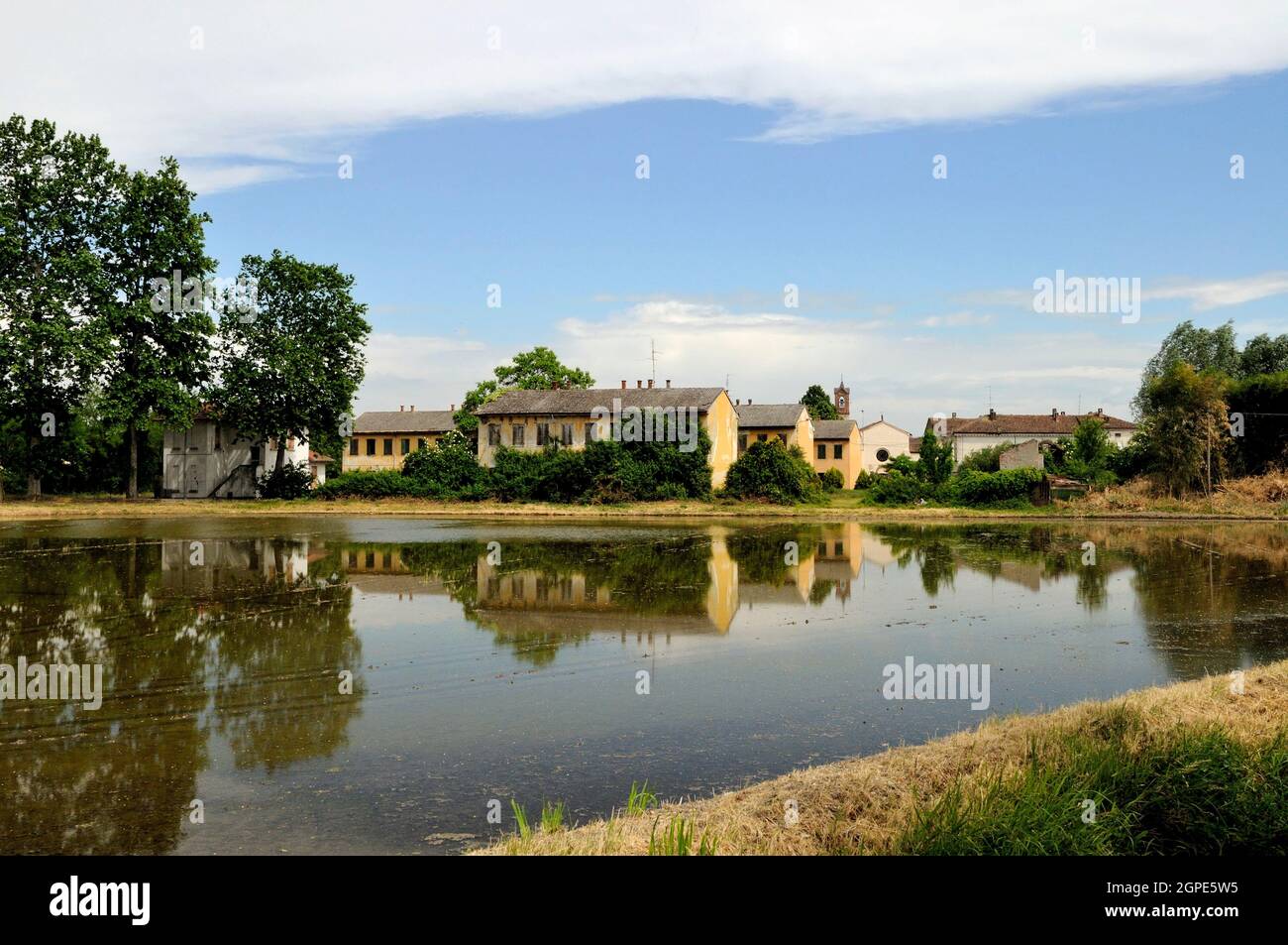 Windy rice fields hi-res stock photography and images - Alamy