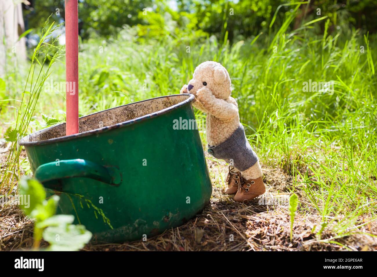 Curious little teddy bear stand on tiptoes to look inside an old dirty cooking pot in use as rainwater tank at backyard garden Stock Photo