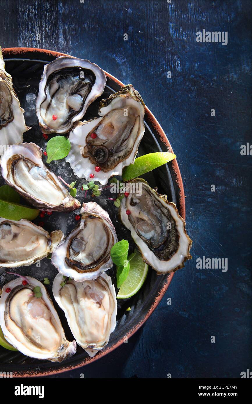 Fresh oysters on round plate. Oyster season. Seafood dish on a blue  background. Free space.Oyster on a leash. Top view.Vertical photo Stock  Photo - Alamy