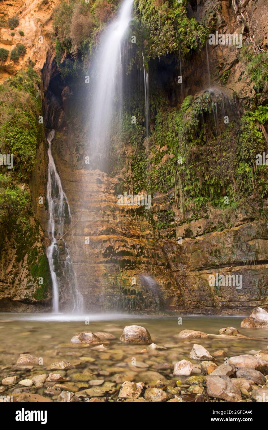 Ein Gedi sweet water springs, in the  judean desert, Israel, the lower waterfall in Wadi David Stock Photo