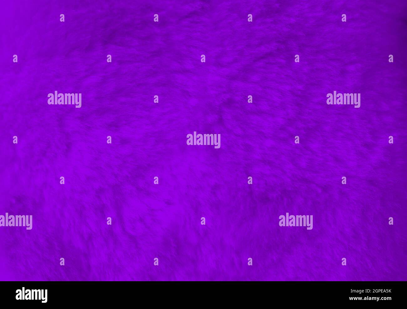 Purple fur background close up view. Texture wallpaper Stock Photo - Alamy