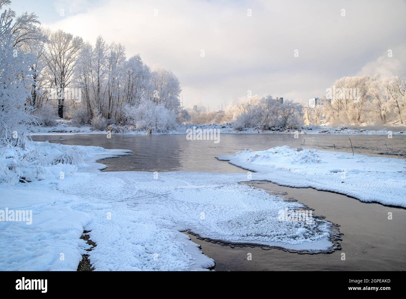 Frozen river flowing through the woods with the trees covered in frost ...
