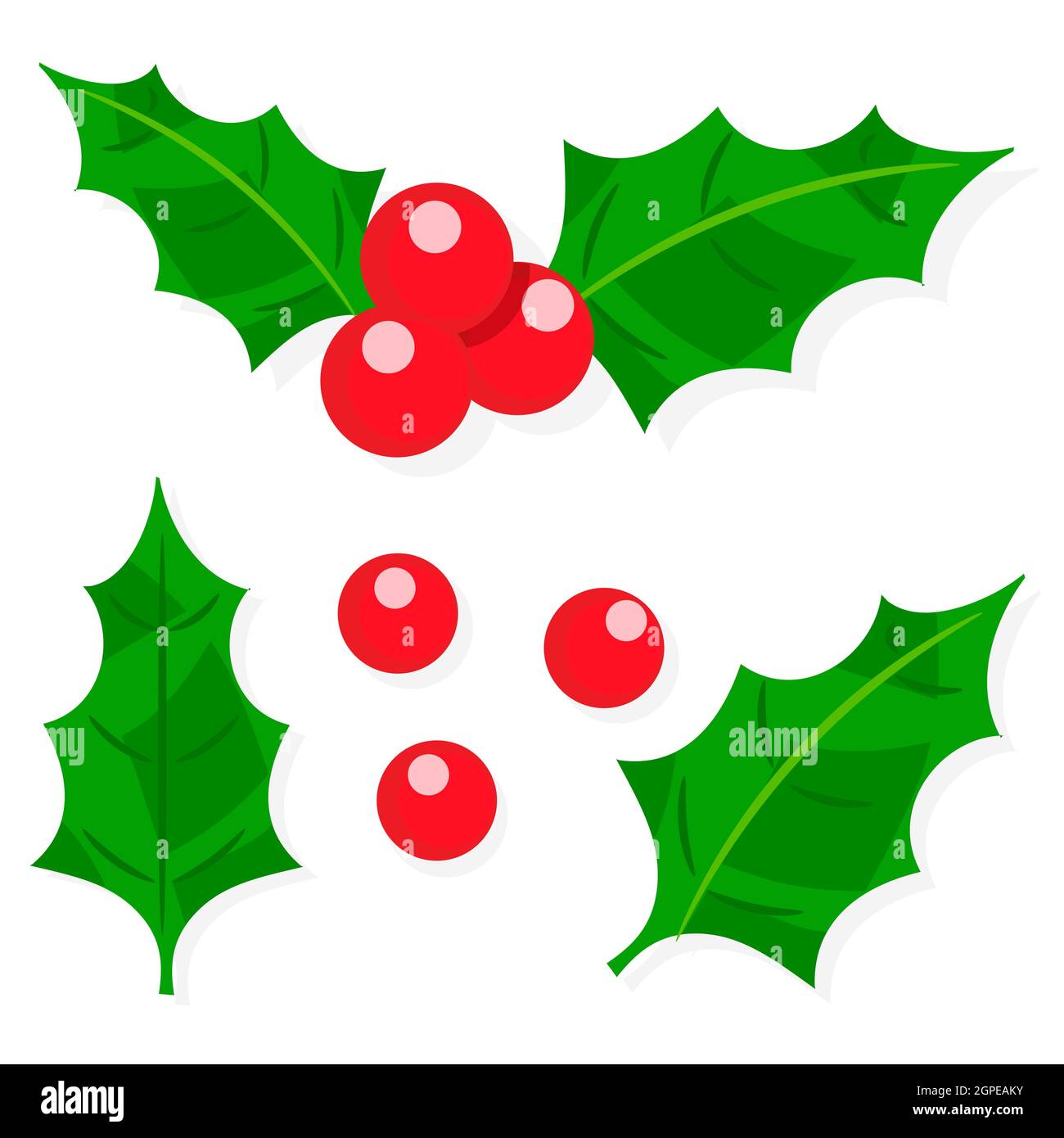 Holly berry isolated on white background. Vector illustration flat ...