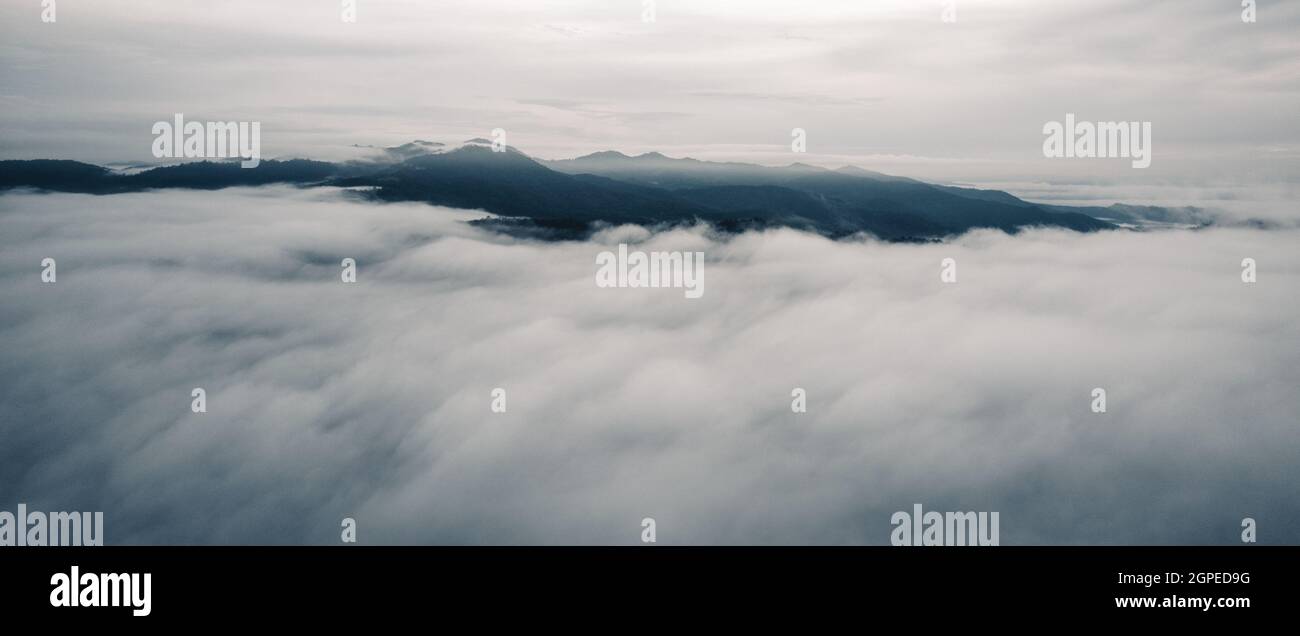 High angle view of the forest and fog in the morning,Above Stock Photo ...
