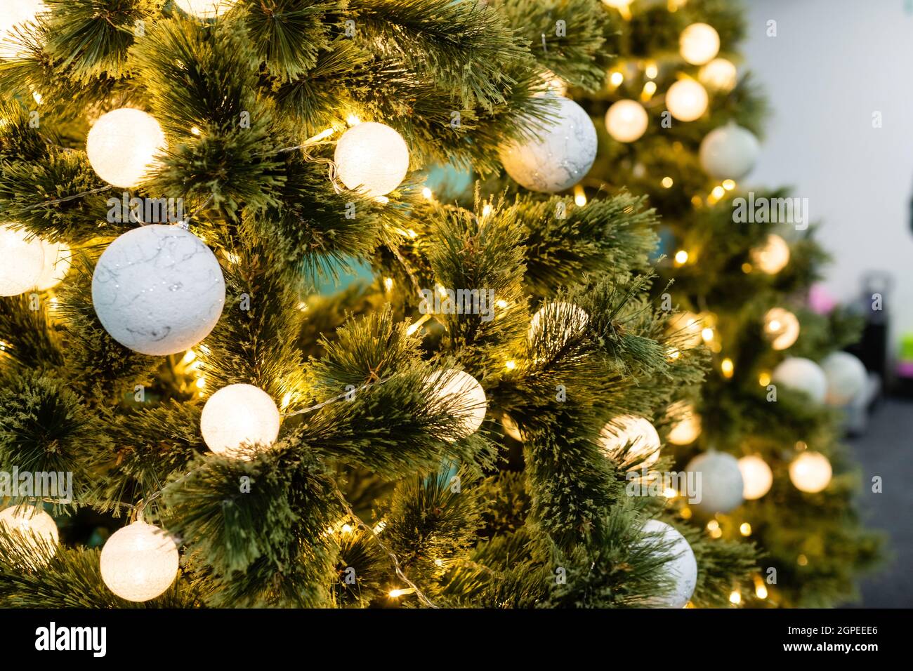 christmas lights hanging in a tree Stock Photo Alamy
