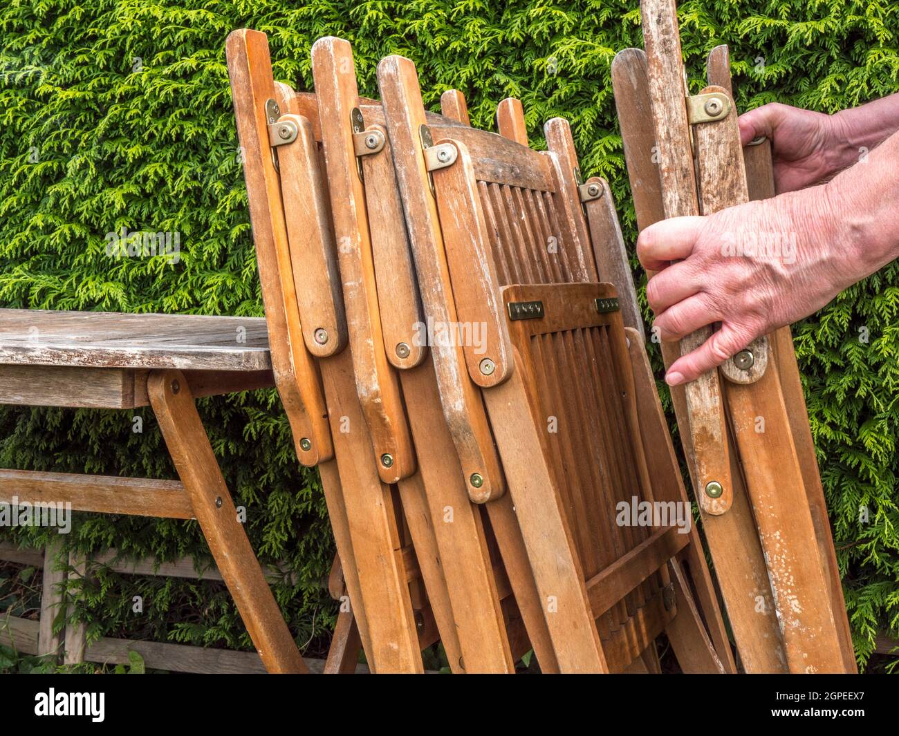 Closeup POV shot of a man’s hands stacking four folded wooden garden / yard chairs against an old table, outside in the autumn sunshine. Stock Photo