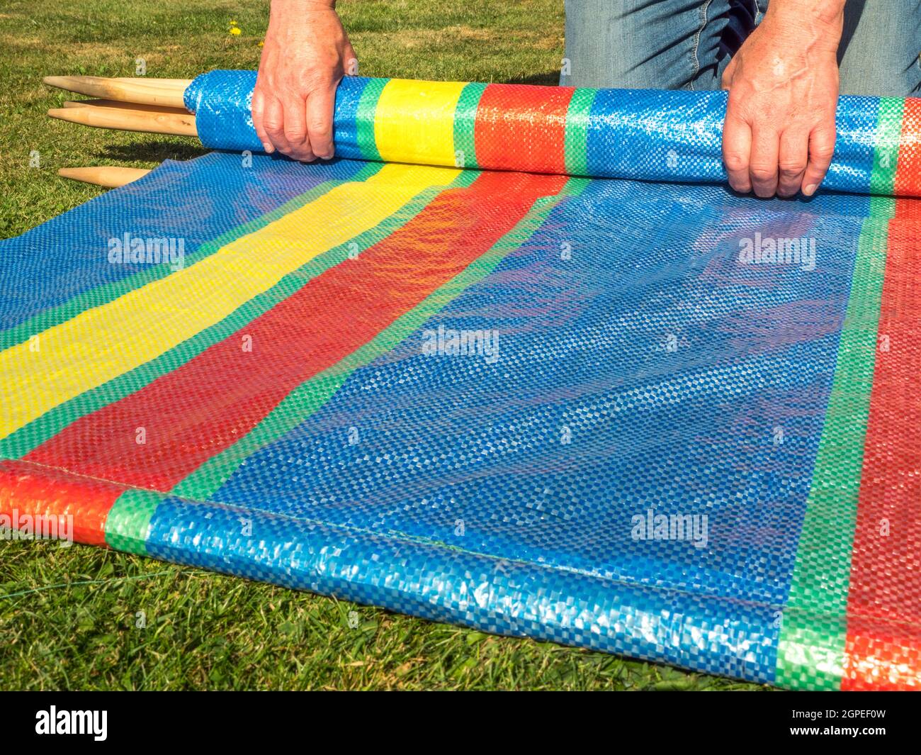 Closeup POV shot at ground level of a man’s hands rolling or unrolling a colorful camping windbreak / windscreen and wooden poles on a piece of grass. Stock Photo