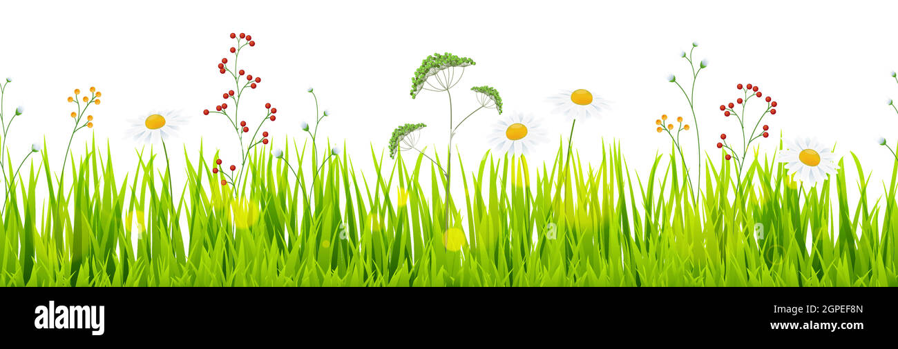 seamless floral grass panorama background Stock Vector