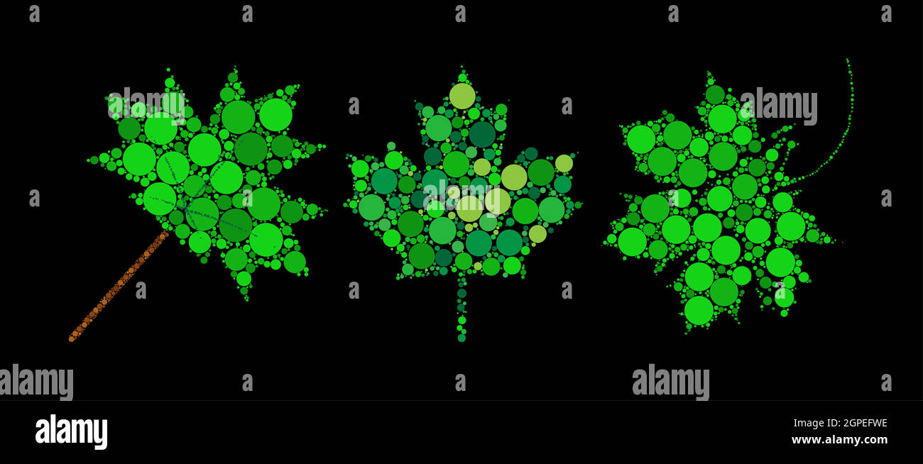 Abstract green maple leaf. Spring foliage made with dots. Decorative dotted canadian symbol set. Great for elegant and decorative greeting or celebration card. Vector illustration isolated on black. Stock Vector