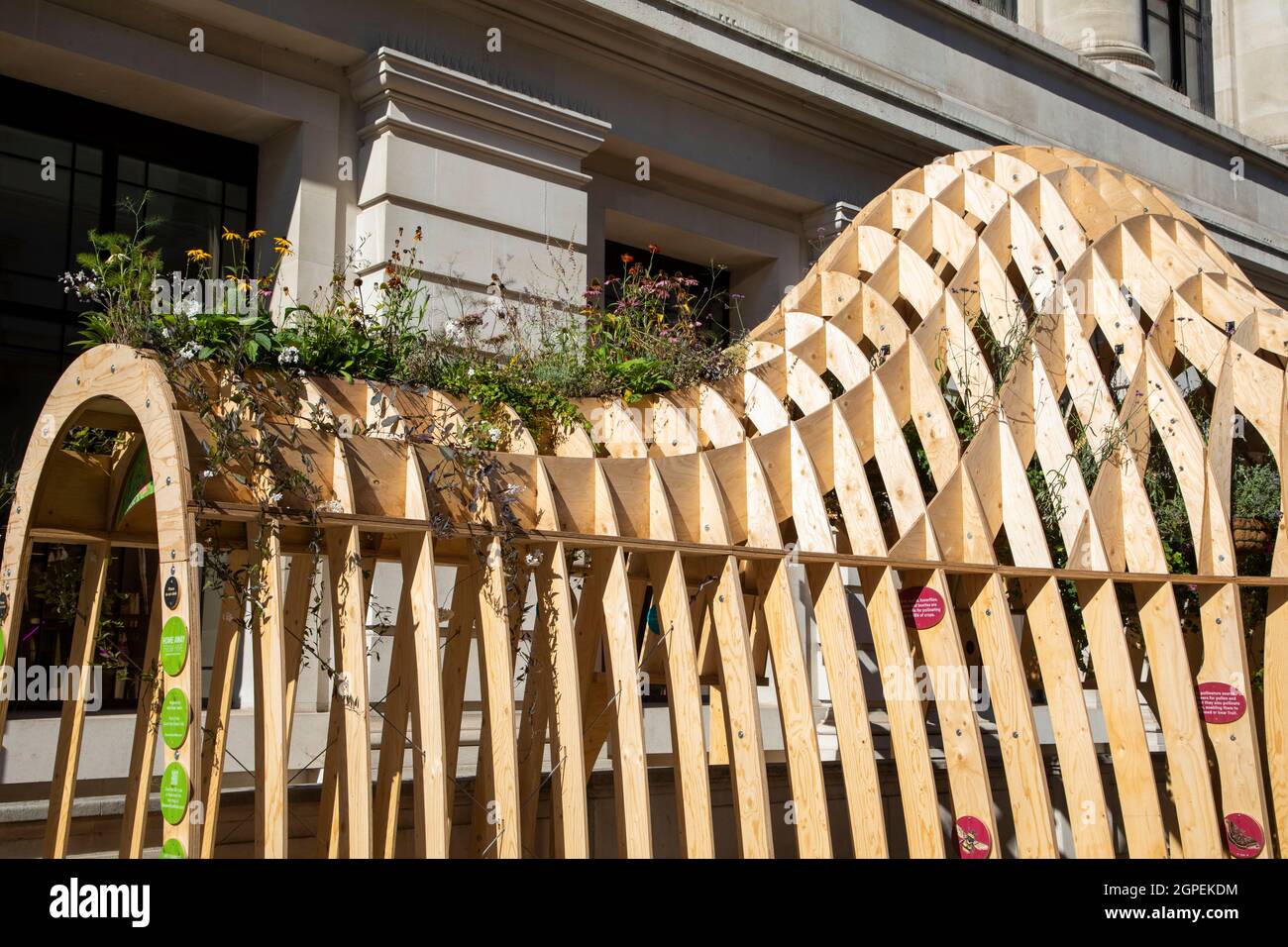 The Exhibition Road Festival - Home Away from Hive by Mizzi Studios Stock Photo