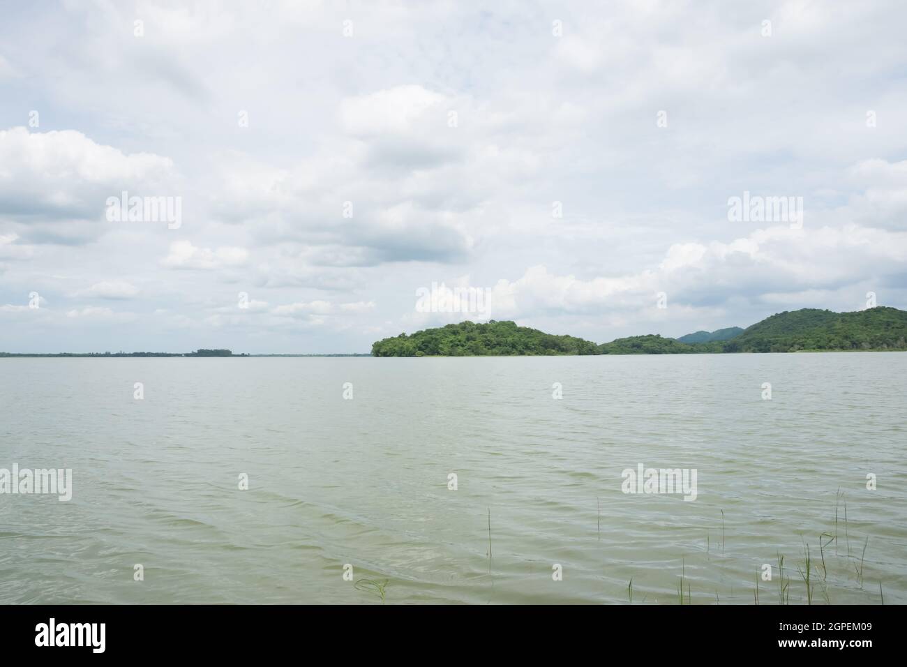 Beautiful sky tree view Stock Photo - Alamy