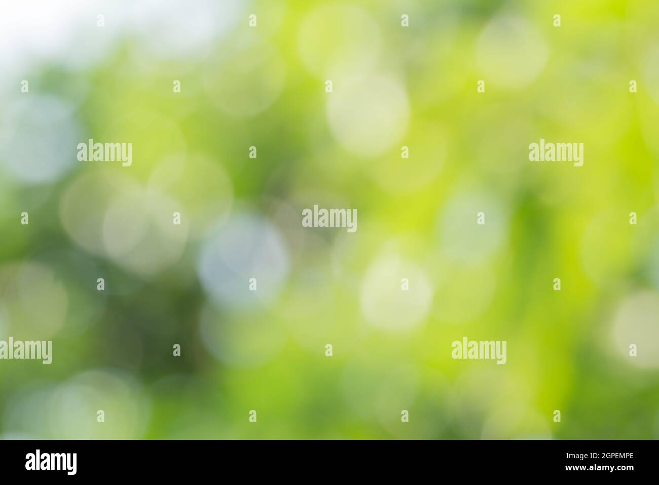 Bokeh from natural light Stock Photo - Alamy
