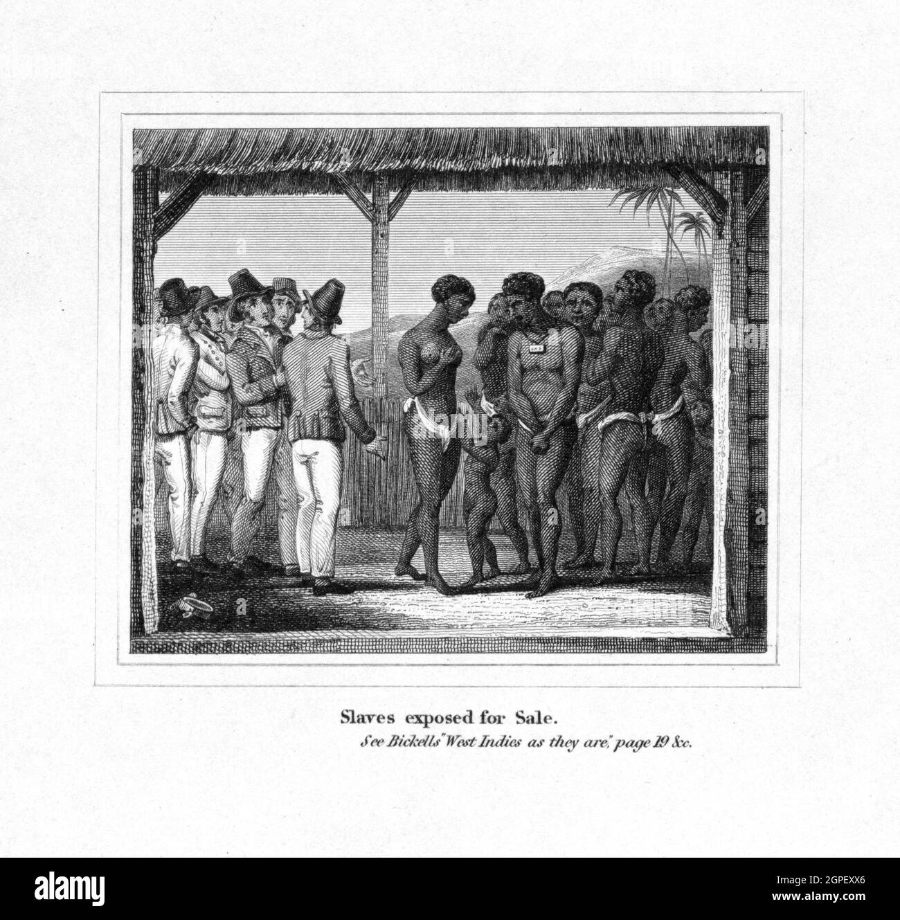 Vintage illustration circa 1825 entitled 'Slaves exposed for sale'.  It shows African people including men women and children being sold to plantation owners in the West Indies. Published in The West Indies as they are; or, a real picture of slavery, by the Reverend Richard Bickell Stock Photo