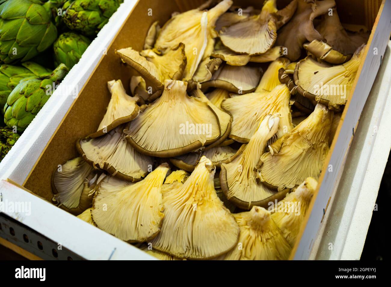 Oyster mushrooms for sale at the market Stock Photo Alamy