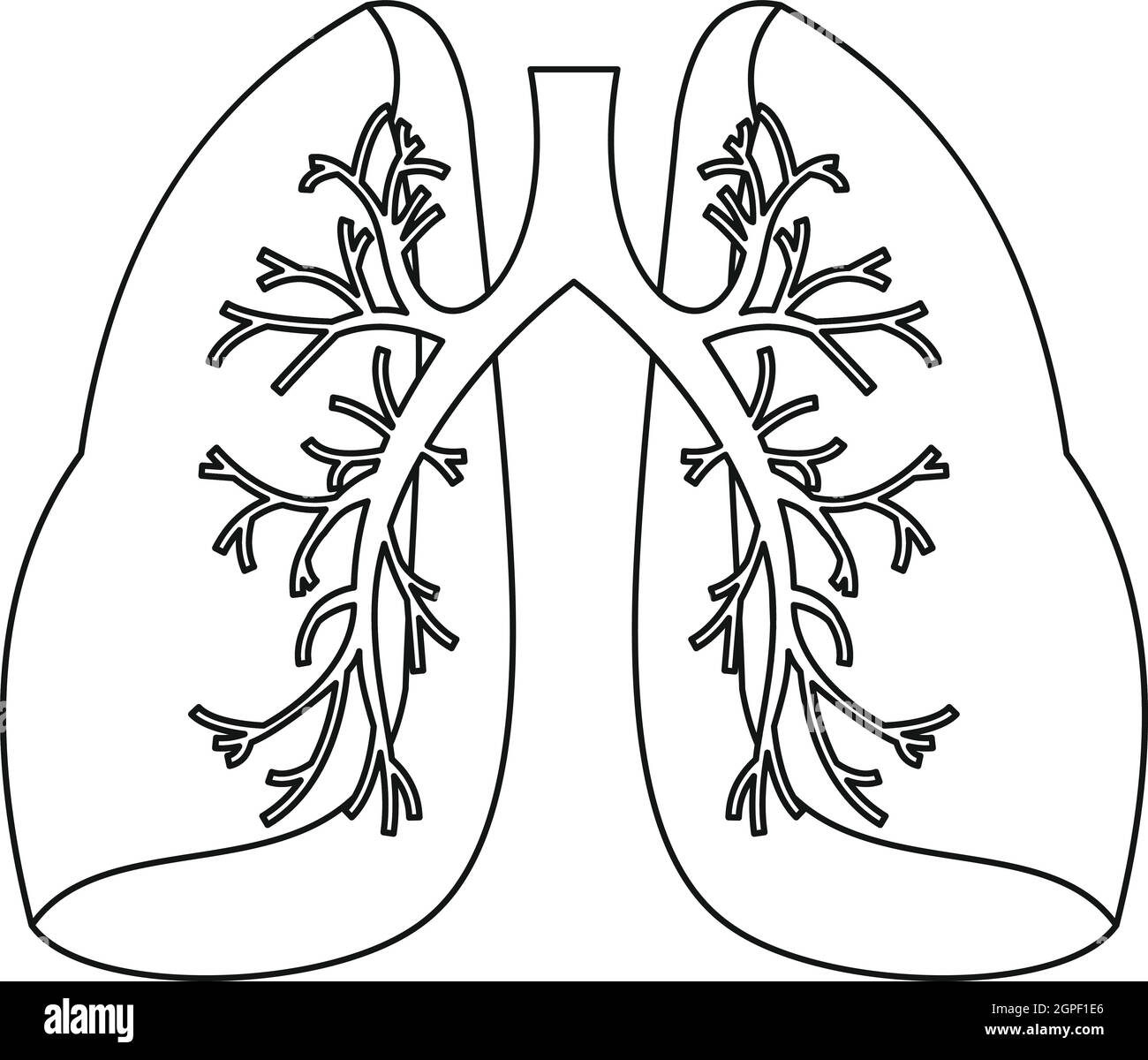 Lungs icon, outline style Stock Vector