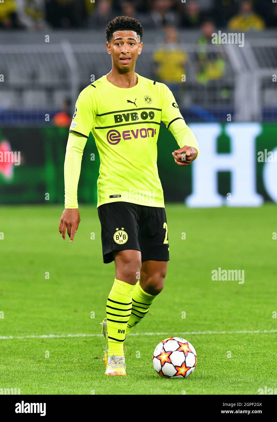 UEFA Champions League, Signal Iduna Park Dortmund, Bor. Dortmund vs  Sporting Lissabon; Jude Bellingham Stock Photo - Alamy