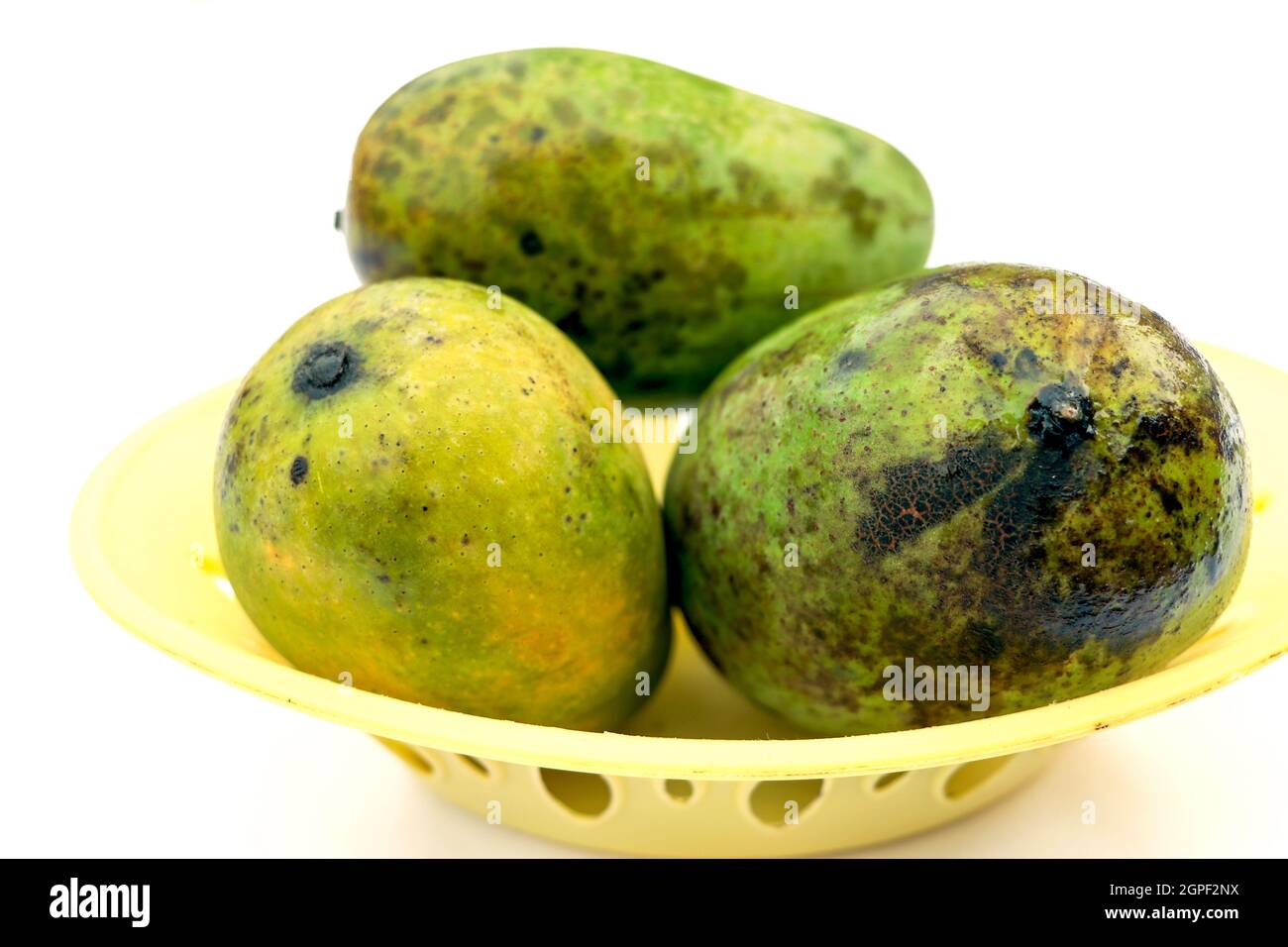 Three large ripe mangoes in a basket isolated on white background Stock Photo
