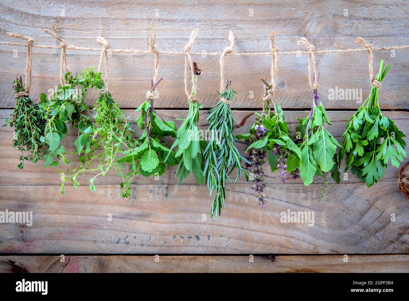 Assorted hanging herbs ,parsley ,oregano,mint,sage,rosemary,sweet basil