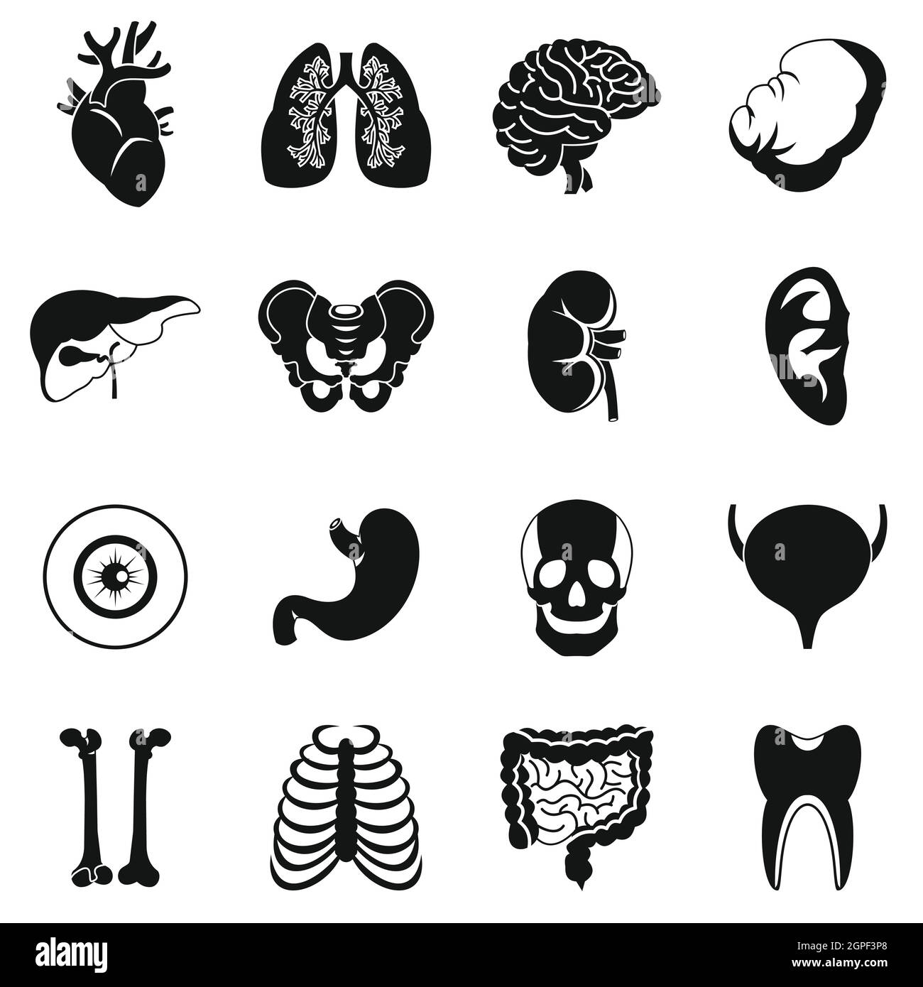 Human organs icons set, simple style Stock Vector