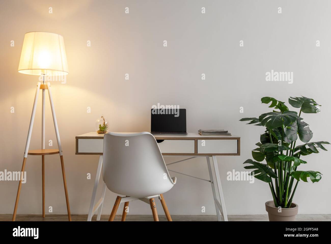 Domestic workplace with table, computer, armchair and glowing lamp, large potted plant on gray wall background Stock Photo