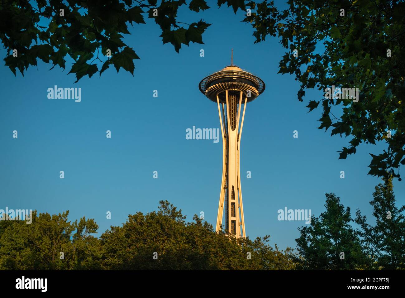 Seattle, WA, US July 5, 2021 View of the iconic Seattle Space Needle