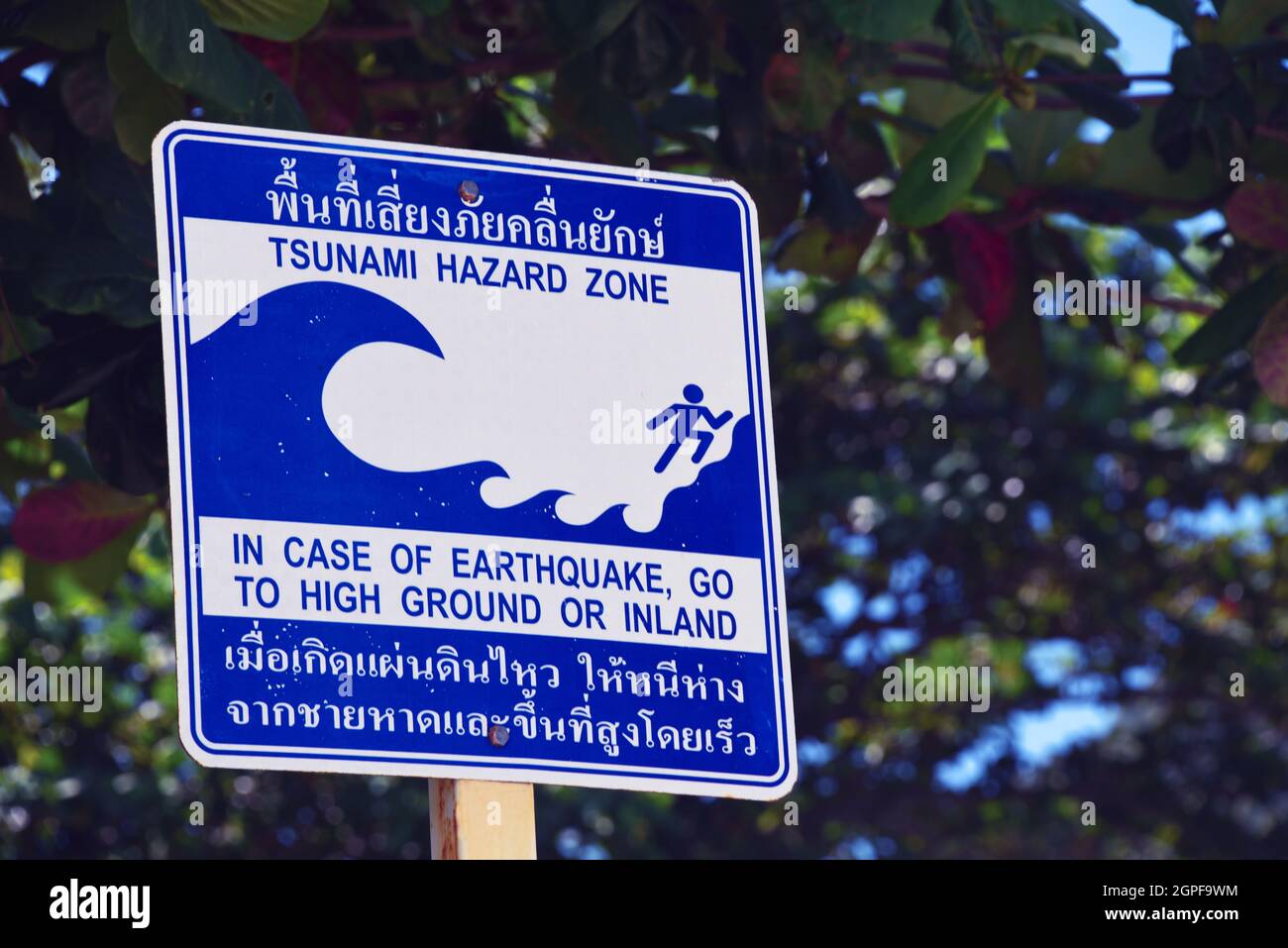 Tsunami koh phi phi