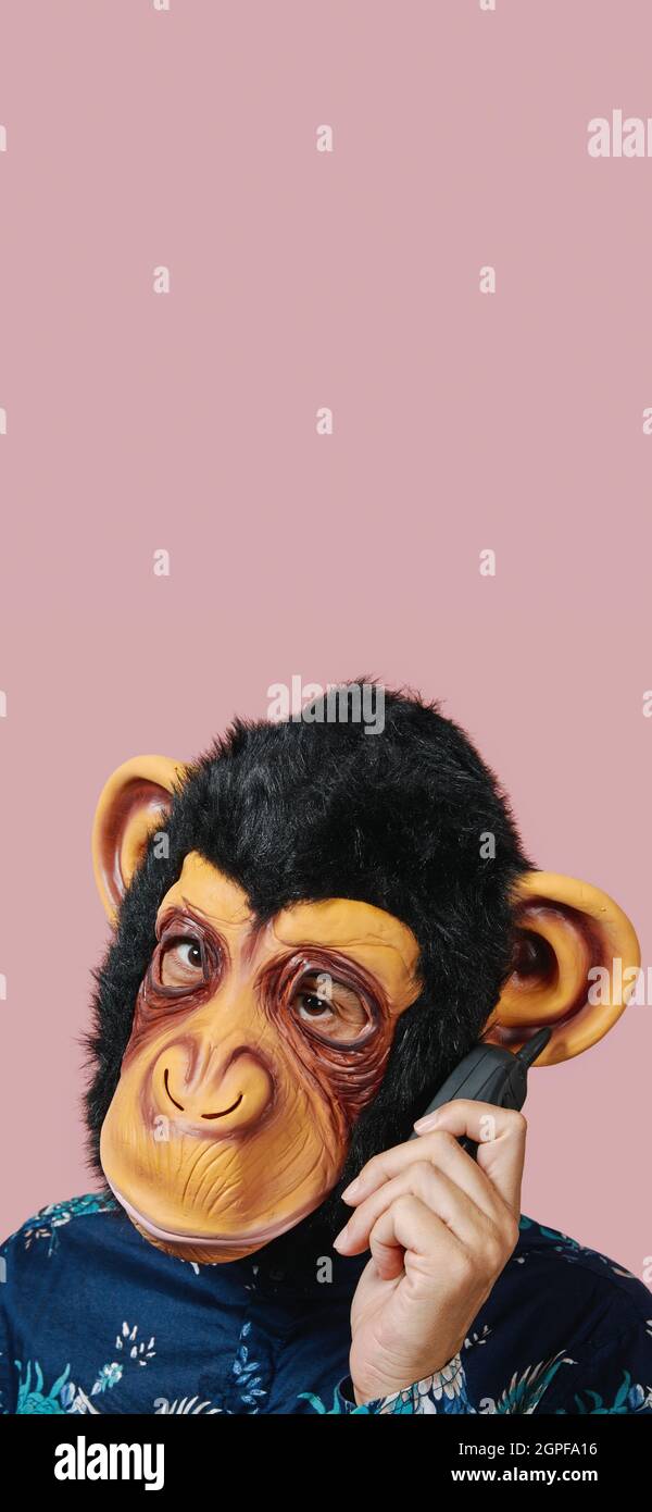 man wearing a monkey mask speaks in an old mobile phone, against a pink background with some blank space on top, in a vertical format to use for mobil Stock Photo