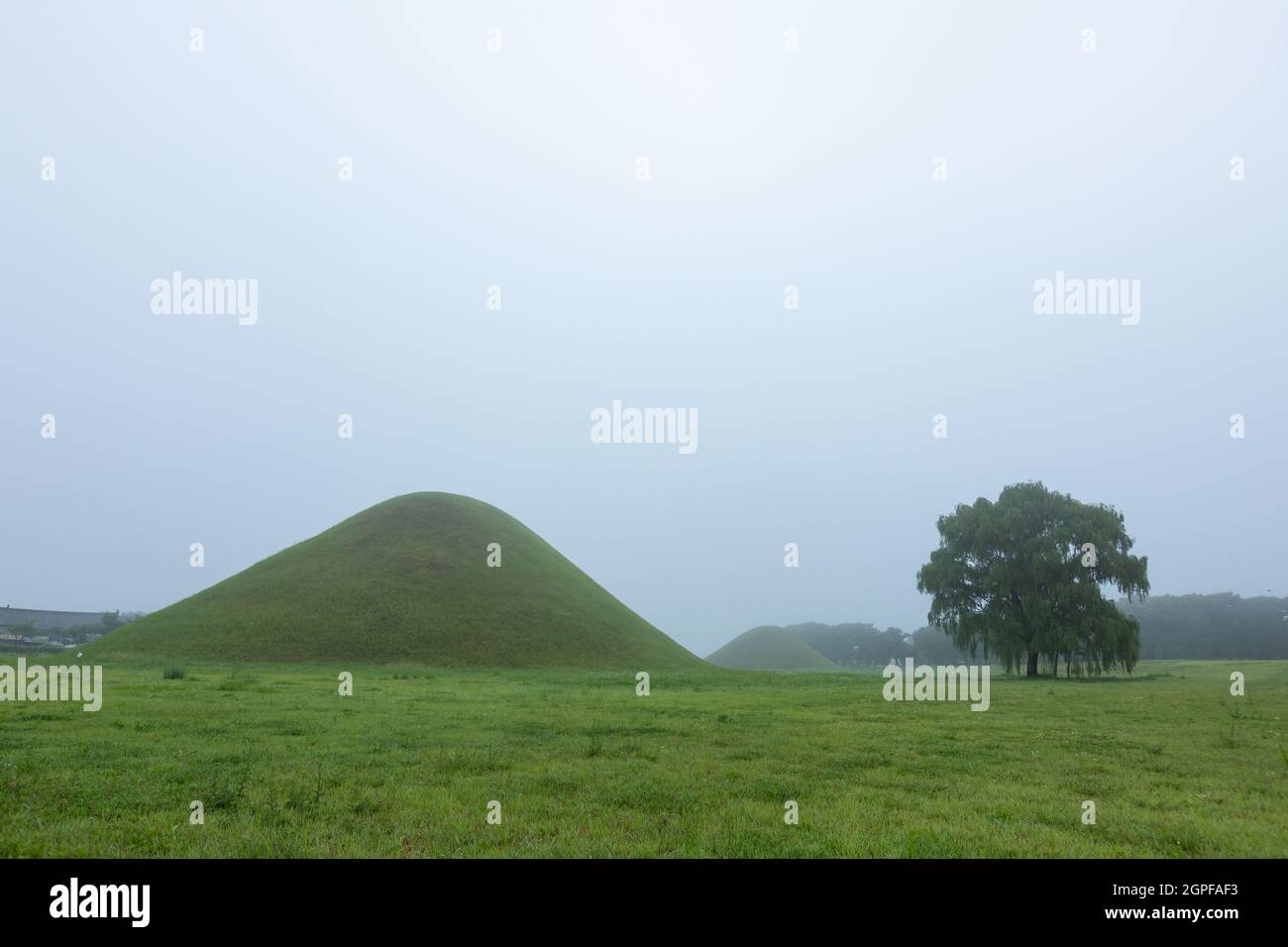 misty morning landscape of Silla tomb and tree, Gyeongju-si, Korea Stock Photo