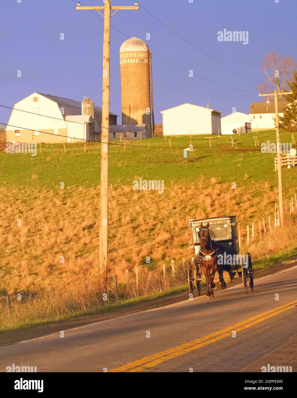 Amish farms hires stock photography and images Alamy
