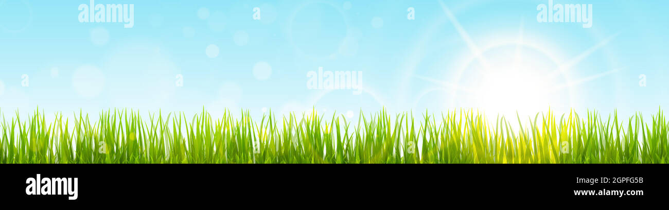 spring grass and sunlight panorama background Stock Vector Image & Art ...