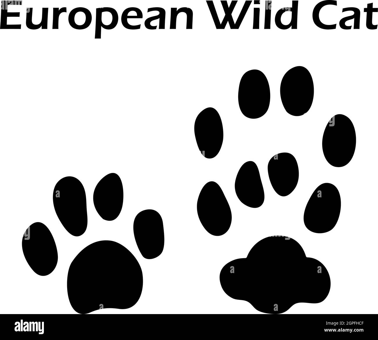 European Wild Cat Footprint Stock Vector