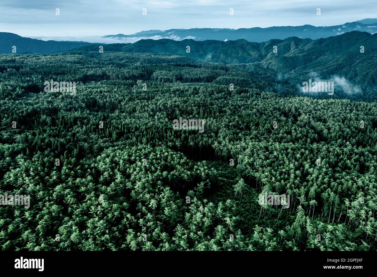 Aerial image of forested mountains in Japan Stock Photo