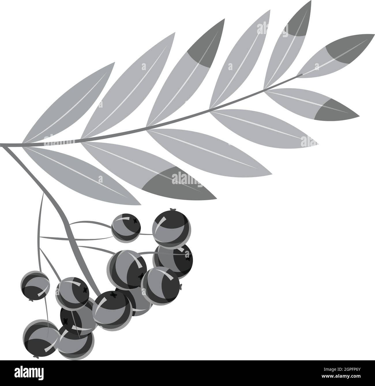 Rowan branch icon, gray monochrome style Stock Vector