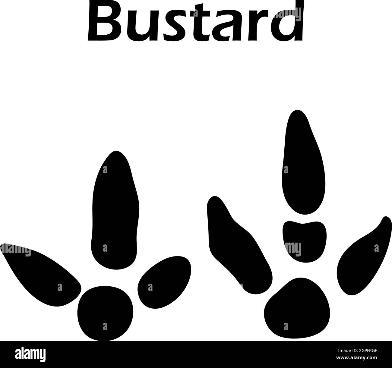 Bustard Footprint Stock Vector