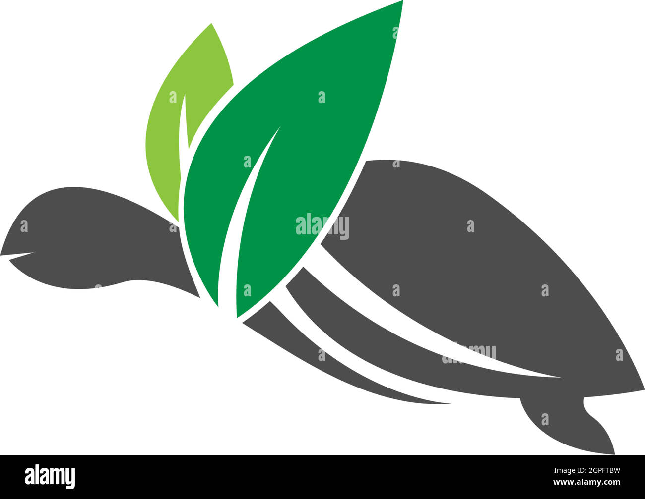 Turtle logo icon vector template illustration design concept Stock Vector